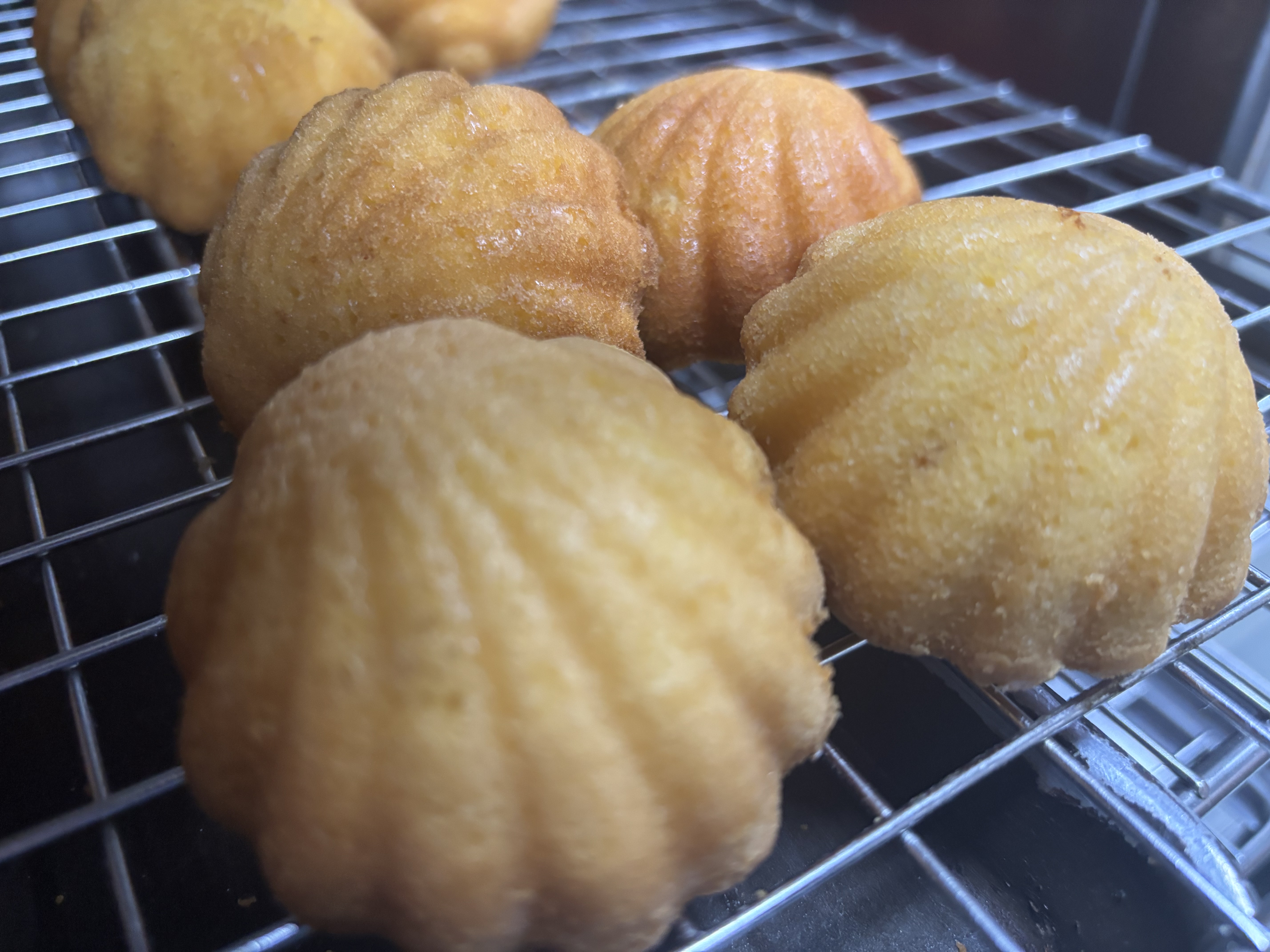 50% Reduced Sugar Frozen Madeleine Cake Premix 