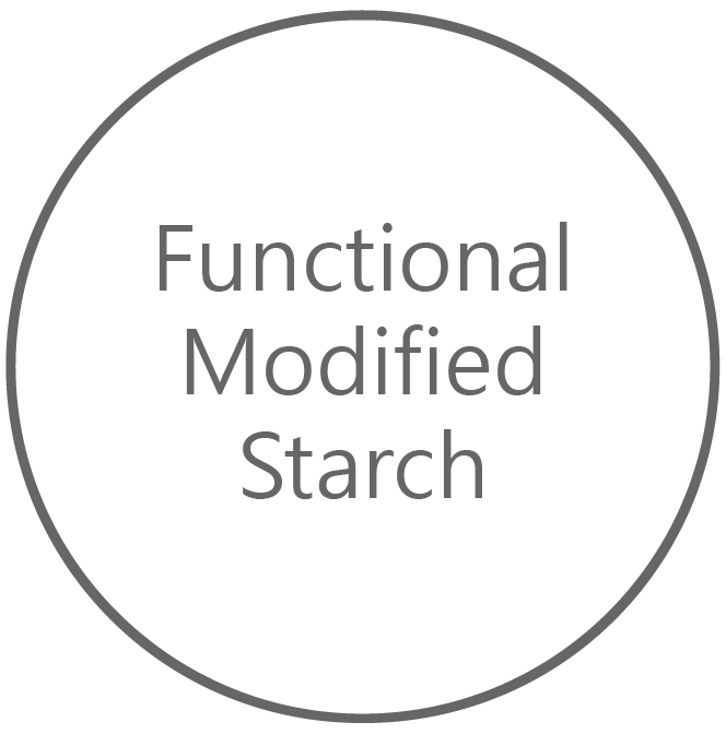 Functional Modified Starch 